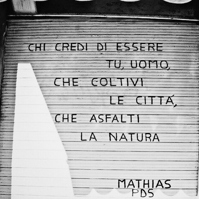 Il resoconto del Festival della poesia di strada: intervista a Mathias PdS
