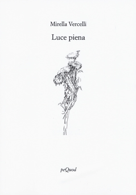 Recensione: “Luce piena” di Mirella Vercelli | L’Altrove