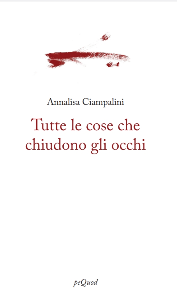 Estratto da “Tutte le cose che chiudono gli occhi” di Annalisa Ciampalini | L’Altrove
